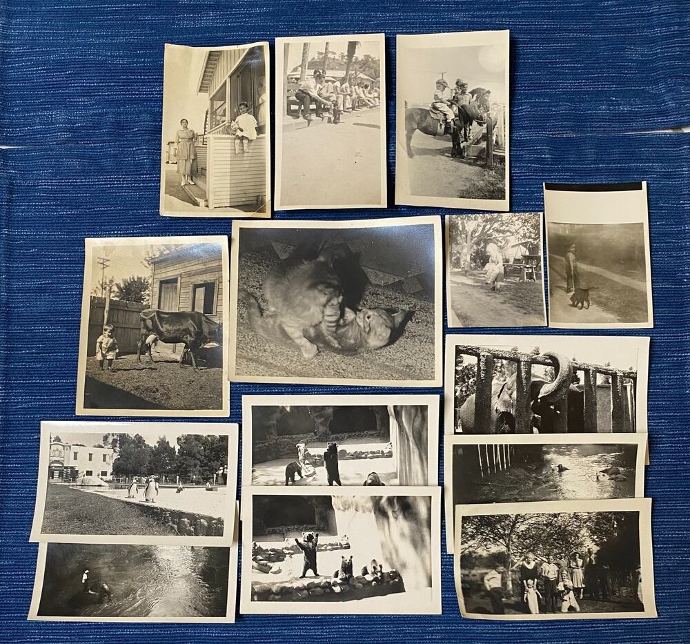 Vtg B&W Snapshot Animal Photo Lot Cow Horse Duck Cat Dog Kids Penguin Bear 91B